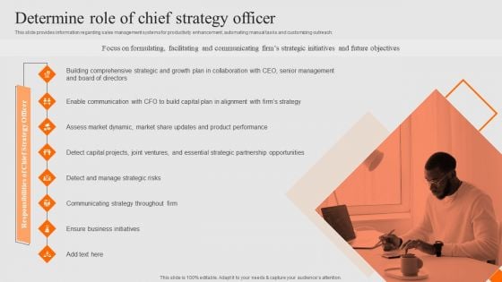 Success Strategy Development Playbook Determine Role Of Chief Strategy Officer Guidelines PDF