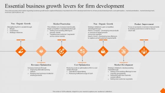 Success Strategy Development Playbook Essential Business Growth Levers For Firm Development Background PDF