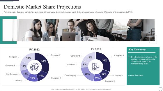 Successful Brand Development Plan Domestic Market Share Projections Themes PDF