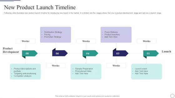 Successful Brand Development Plan New Product Launch Timeline Structure PDF