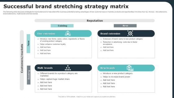 Successful Brand Stretching Strategy Matrix Ppt PowerPoint Presentation Gallery Maker PDF