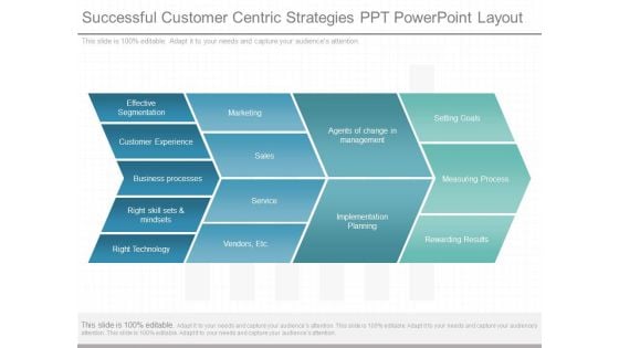 Successful Customer Centric Strategies Ppt Powerpoint Layout