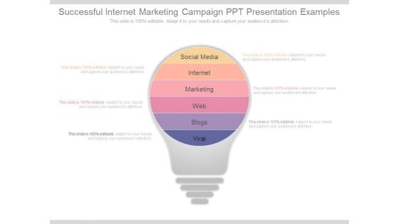 Successful Internet Marketing Campaign Ppt Presentation Examples