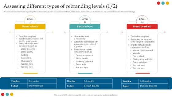 Successful Rebranding Guide Assessing Different Types Of Rebranding Levels Sample PDF