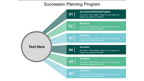 Succession Planning Program Ppt PowerPoint Presentation Styles Slides Cpb