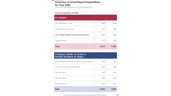 Summary Of Grant Report Expenditure For Year 2022 One Pager Documents