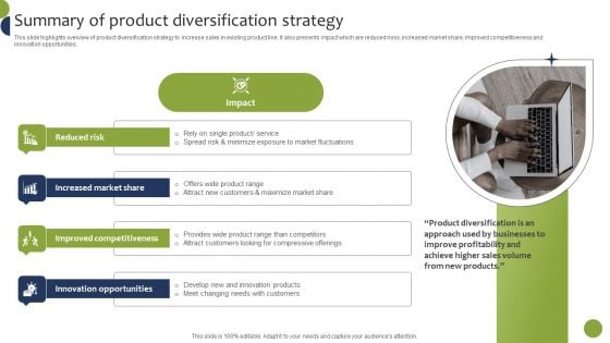 Summary Of Product Diversification Strategy Formats PDF