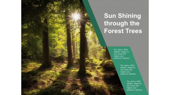 Sun Shining Through The Forest Trees Ppt PowerPoint Presentation Icon Visual Aids