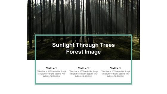 Sunlight Through Trees Forest Image Ppt PowerPoint Presentation Professional Good Sunlight Through Trees Forest Image Ppt PowerPoint Presentation Professional Good