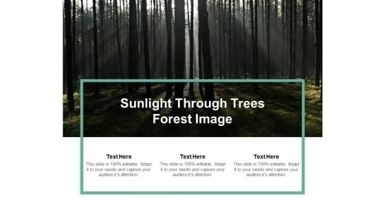 Sunlight Through Trees Forest Image Ppt PowerPoint Presentation Professional Good