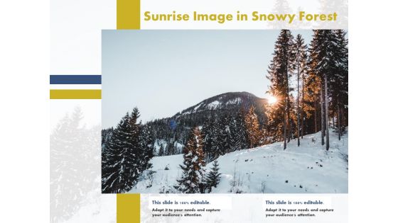 Sunrise Image In Snowy Forest Ppt PowerPoint Presentation Styles Slideshow PDF