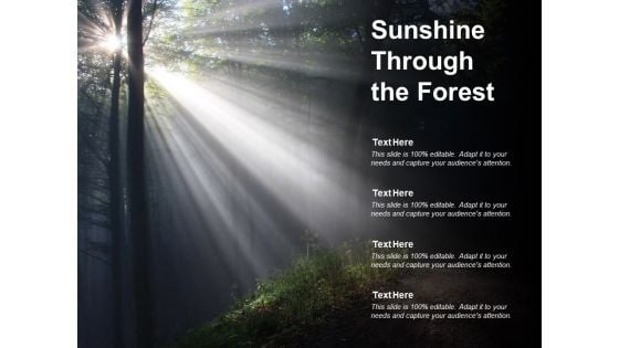 Sunshine Through The Forest Ppt Powerpoint Presentation Model Styles
