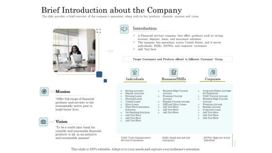 Supplementary Debt Financing Pitch Deck Brief Introduction About The Company Ideas PDF