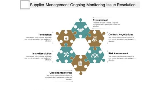 Supplier Management Ongoing Monitoring Issue Resolution Ppt PowerPoint Presentation Icon Skills