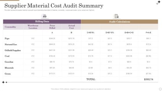 Supplier Material Cost Audit Summary Pictures PDF