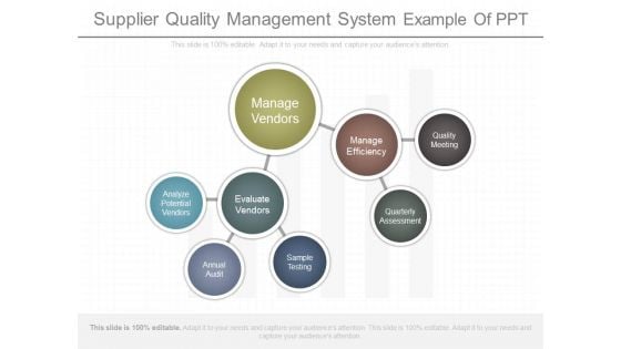 Supplier Quality Management System Example Of Ppt
