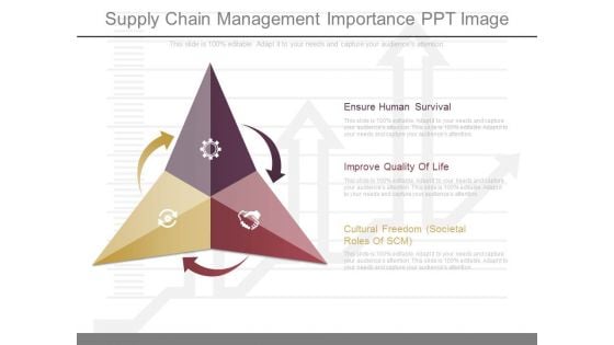 Supply Chain Management Importance Ppt Image