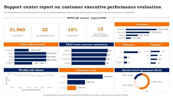Support Center Report On Customer Executive Performance Evaluation Background PDF
