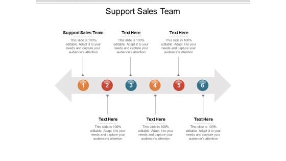 Support Sales Team Ppt PowerPoint Presentation Styles Format Cpb