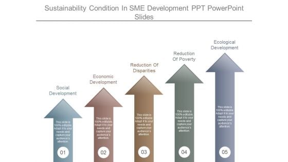 Sustainability Condition In Sme Development Ppt Powerpoint Slides