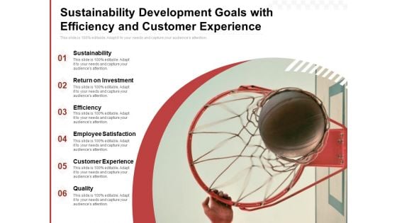 Sustainability Development Goals With Efficiency And Customer Experience Ppt PowerPoint Presentation Styles Diagrams PDF