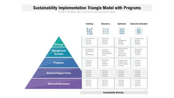 Sustainability Implementation Triangle Model With Programs Ppt PowerPoint Presentation File Templates PDF