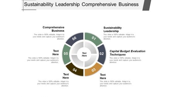 Sustainability Leadership Comprehensive Business Capital Budget Evaluation Techniques Ppt PowerPoint Presentation Portfolio Layouts