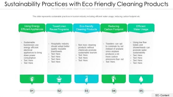 Sustainability Practices With Eco Friendly Cleaning Products Ppt PowerPoint Presentation File Shapes PDF