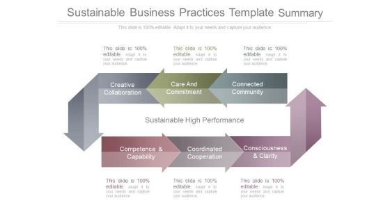 Sustainable Business Practices Template Summary