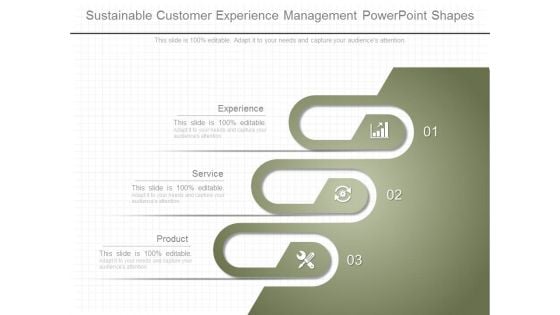 Sustainable Customer Experience Management Powerpoint Shapes