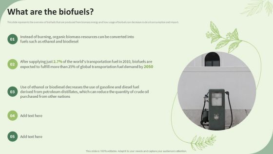 Sustainable Energy Resources What Are The Biofuels Ppt Icon Guidelines PDF