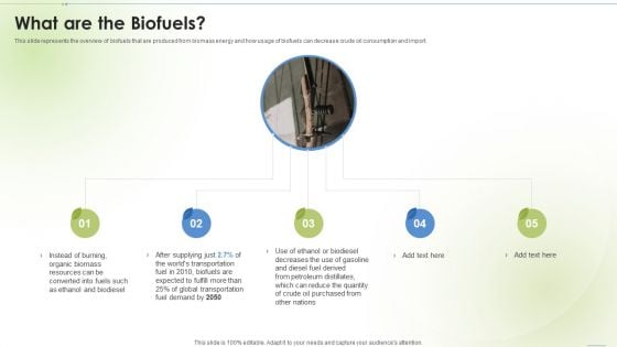 Sustainable Energy What Are The Biofuels Ppt PowerPoint Presentation Ideas Slide Download PDF