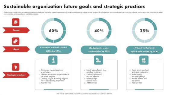 Sustainable Organization Future Goals And Strategic Practices Sample PDF