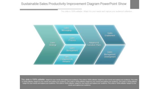 Sustainable Sales Productivity Improvement Diagram Powerpoint Show