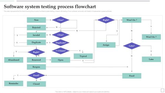 System Deployment Project Software System Testing Process Flowchart Brochure PDF