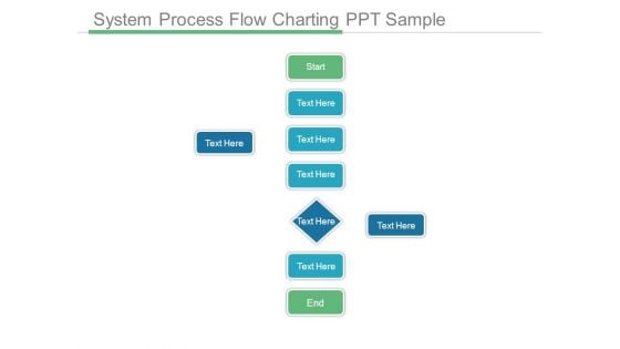 System Process Flow Charting Ppt Sample