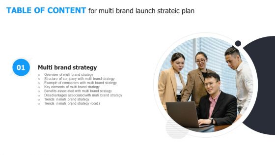 TABLE OF CONTENT For Multi Brand Launch Strateic Plan Slide Portrait PDF