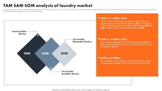 TAM SAM SOM Analysis Of Laundry Market Summary PDF