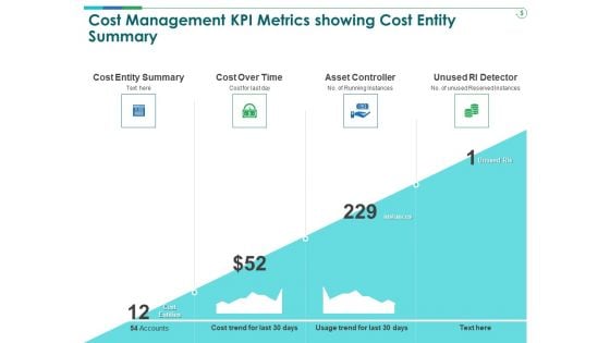 TCM Cost Management KPI Metrics Showing Cost Entity Summary Ppt Inspiration Clipart PDF