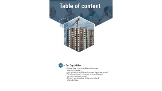 Table Of Content Architectural Concept Planning Proposal One Pager Sample Example Document