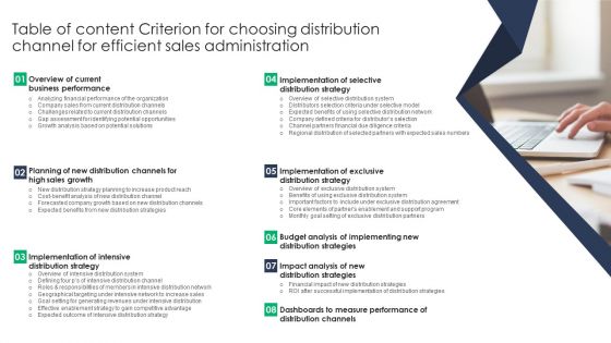 Table Of Content Criterion For Choosing Distribution Channel For Efficient Sales Administration Icons PDF