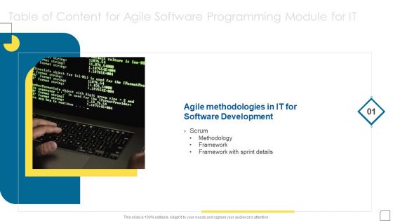Table Of Content For Agile Software Programming Module For IT Ppt Infographic Template Microsoft PDF