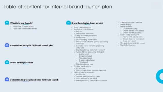 Table Of Content For Internal Brand Launch Plan Formats PDF