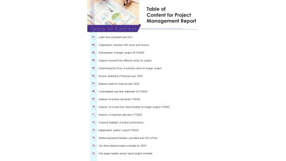 Table Of Content For Project Management Report One Pager Documents