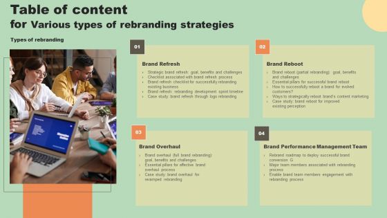Table Of Content For Various Types Of Rebranding Strategies Rules PDF