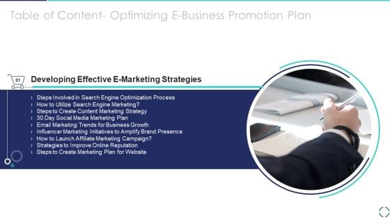 Table Of Content Optimizing E Business Promotion Plan Strategies Elements PDF