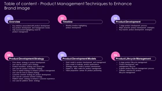 Table Of Content Product Management Techniques To Enhance Brand Image Demonstration PDF