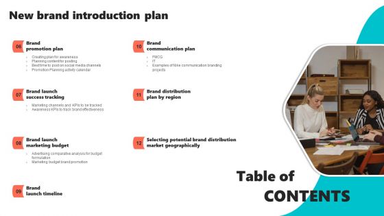 Table Of Contenta New Brand Introduction Plan Download PDF