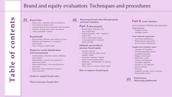 Table Of Contents Brand And Equity Evaluation Techniques And Procedures Pictures PDF