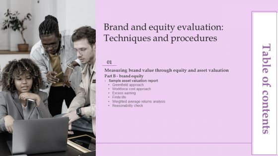 Table Of Contents Brand And Equity Evaluation Techniques And Procedurestips Inspiration PDF